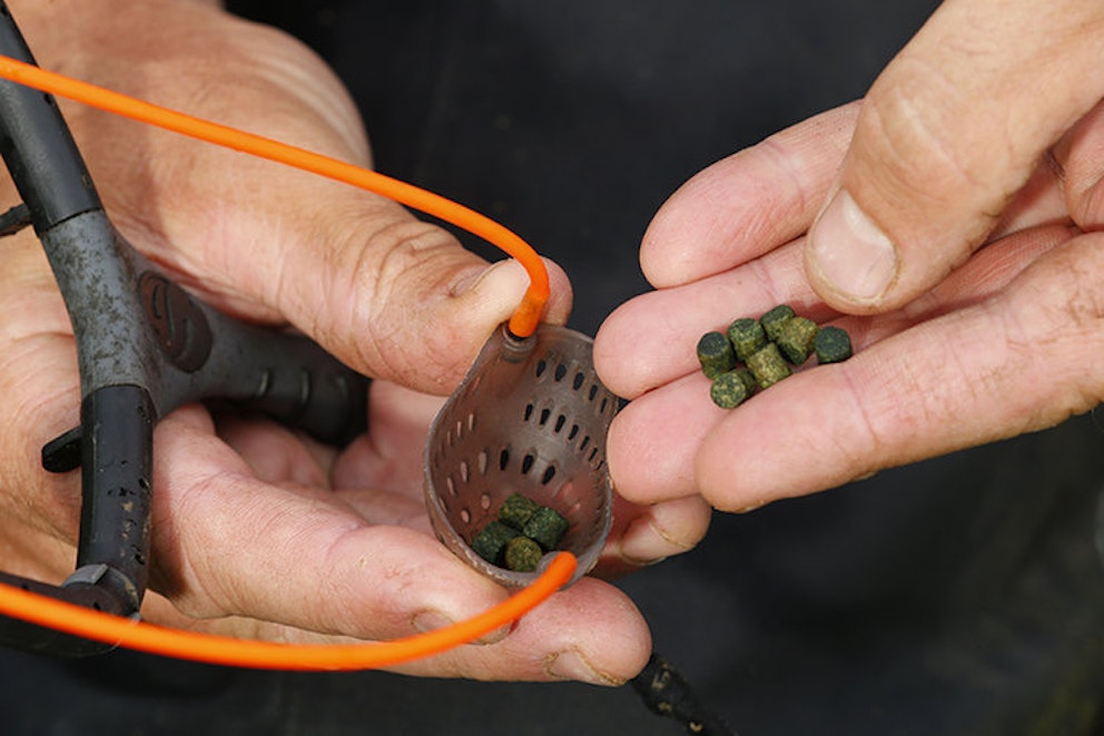TOP 10 POLE FISHING TIPS Angling Times